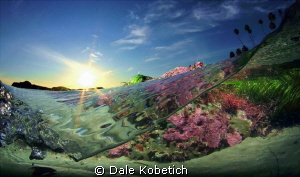 low tide afternoon laguna Beach...home made dome and hous... by Dale Kobetich 